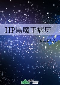 《HP黑魔王病历》