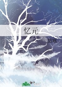 《忆元》