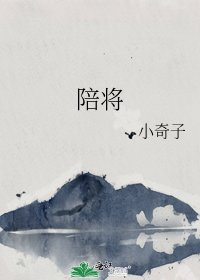 《陪將》