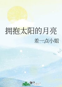 拥抱太阳的月亮
