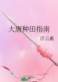 (古典名著同人)大唐种田指南
