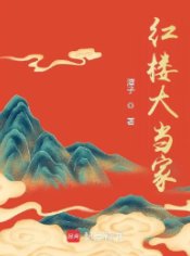 (红楼梦同人)红楼大当家