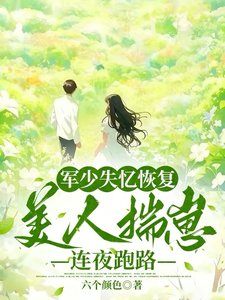 军少失忆恢复,美人揣崽连夜跑路/六零藏区遇前任,失忆首长争又抢