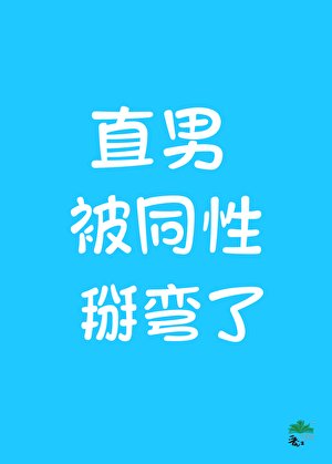 《直男但被同性当成捞子掰弯了》
