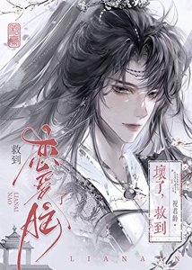 剑修给书中反派冲喜后