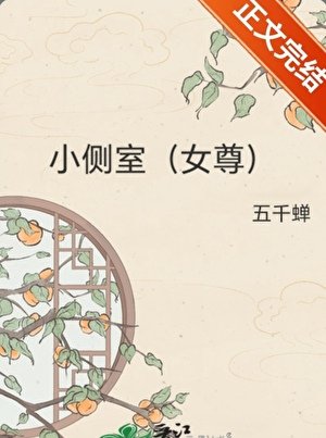 《小侧室(女尊)》