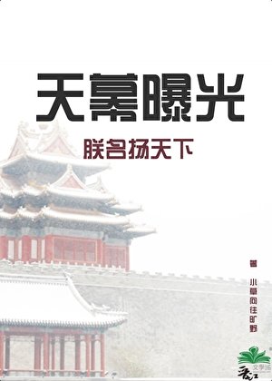 天幕曝光朕名揚天下
