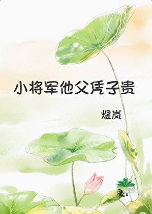 小將軍他父憑子貴