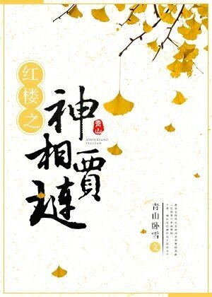 (BG/红楼同人)红楼之神相贾琏