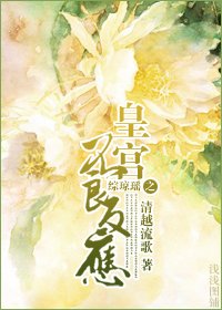 (BG/综琼瑶同人)皇宫不良反应